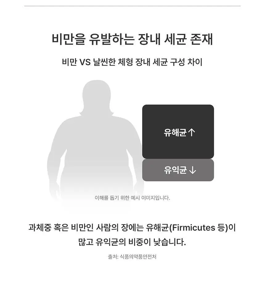 [포켓몬 에디션] 덴프스 유산균이야기 다이어트 14캡슐 기획 (+피카츄 러기지택) (14일분) (OY단독) 상세페이지 46